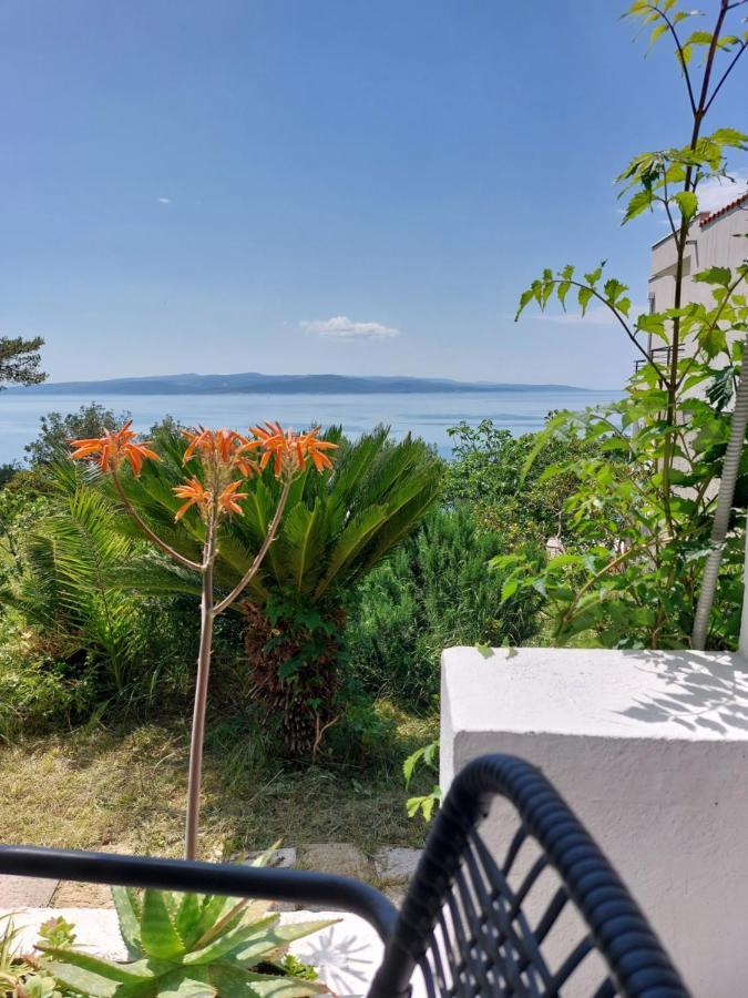 Villa Bratus โพรไมนา ภายนอก รูปภาพ