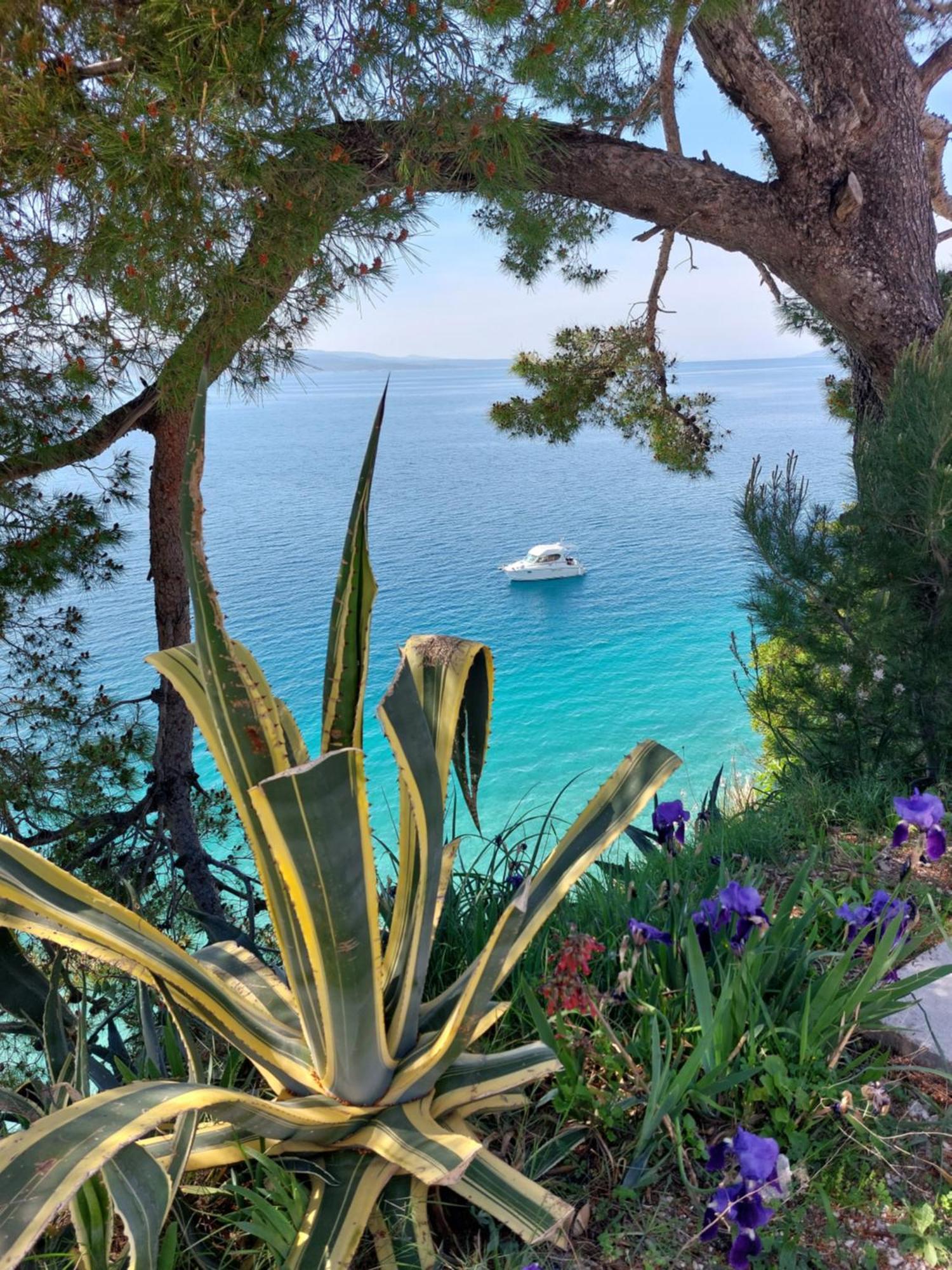Villa Bratus โพรไมนา ภายนอก รูปภาพ