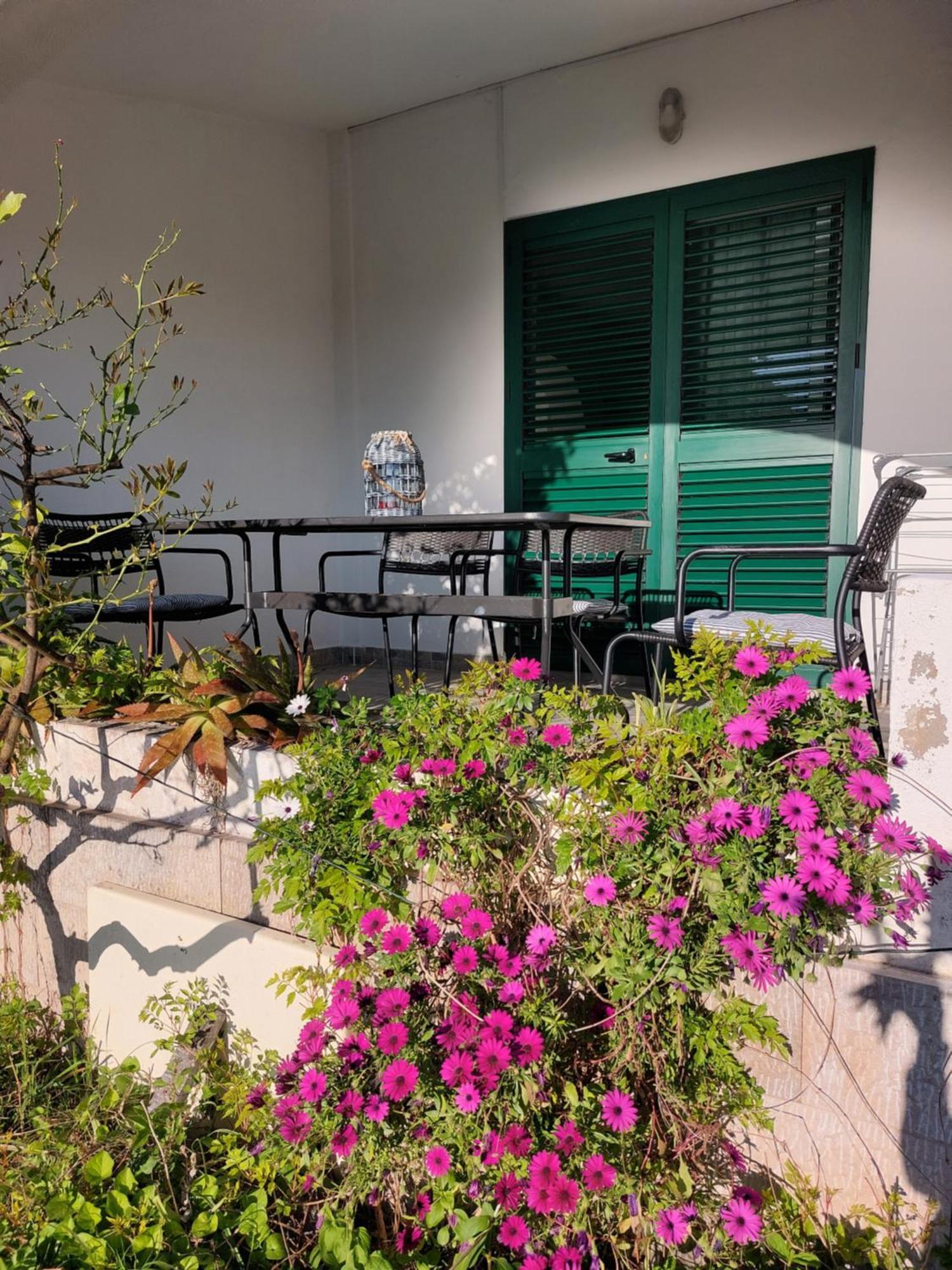 Villa Bratus โพรไมนา ภายนอก รูปภาพ